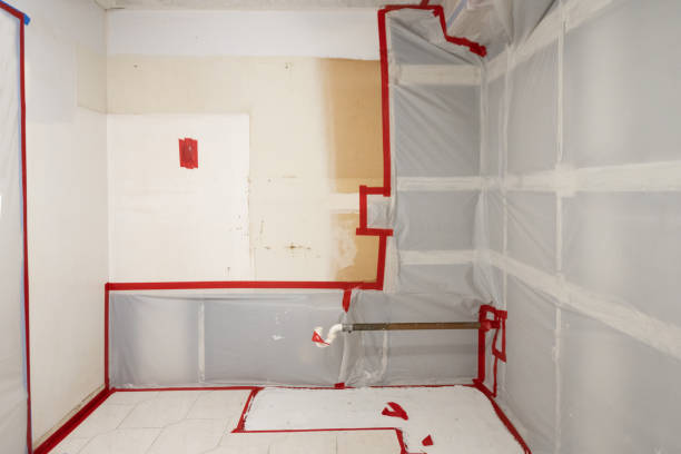 Best Biohazard Mold Removal  in Deer Lodge, MT