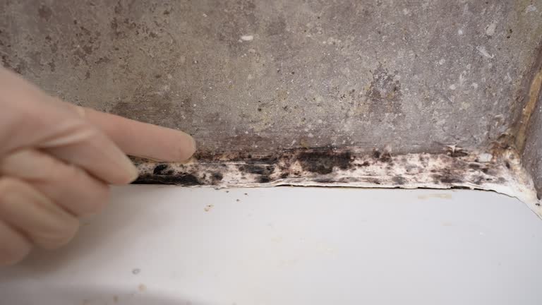 Best Mold Remediation for Healthcare Facilities  in Deer Lodge, MT
